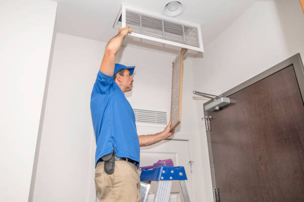 Air Duct Mold Removal in Ogden, KS